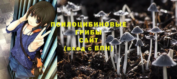 мяу мяу мука Абинск