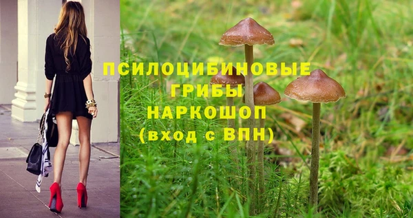 твердый Алексеевка