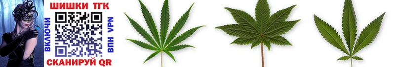 Канабис SATIVA & INDICA  закладка  Хадыженск 